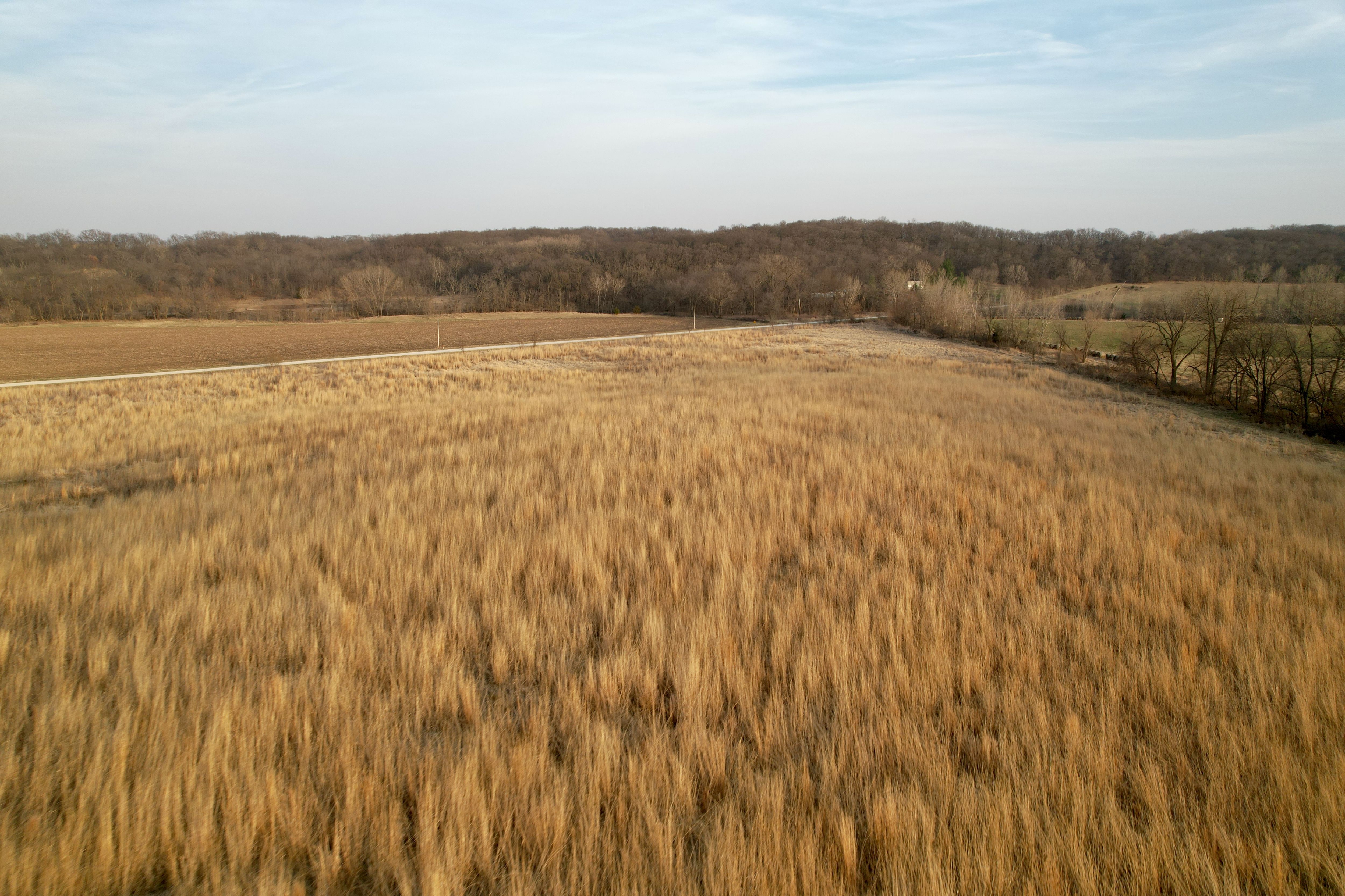 Listing Photo: Photo Mar 25 2026, 6 47 41 PM